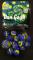 VAN GOGH-31-sb_photo.jpg